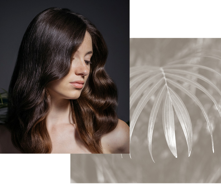 Coloro fascia 2
